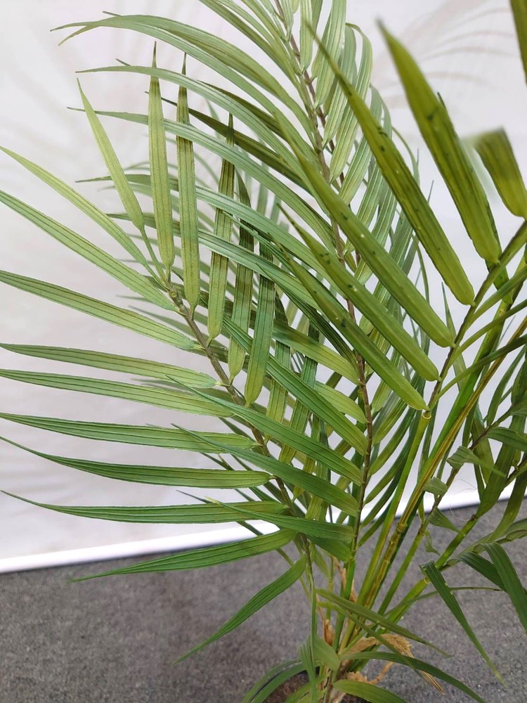 アレカヤシ風 フェイクグリーン 鉢付き H780 / 約0.8m 人工観葉植物 - 画像 (5)