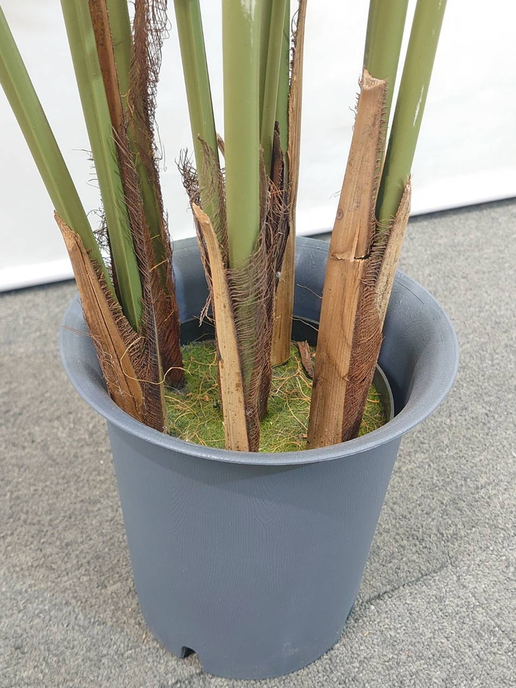 東京地区送料無料 フェイクグリーン アレカヤシ風 H1380 / 約1.4m 人工観葉植物 インテリアグリーン - 画像 (4)