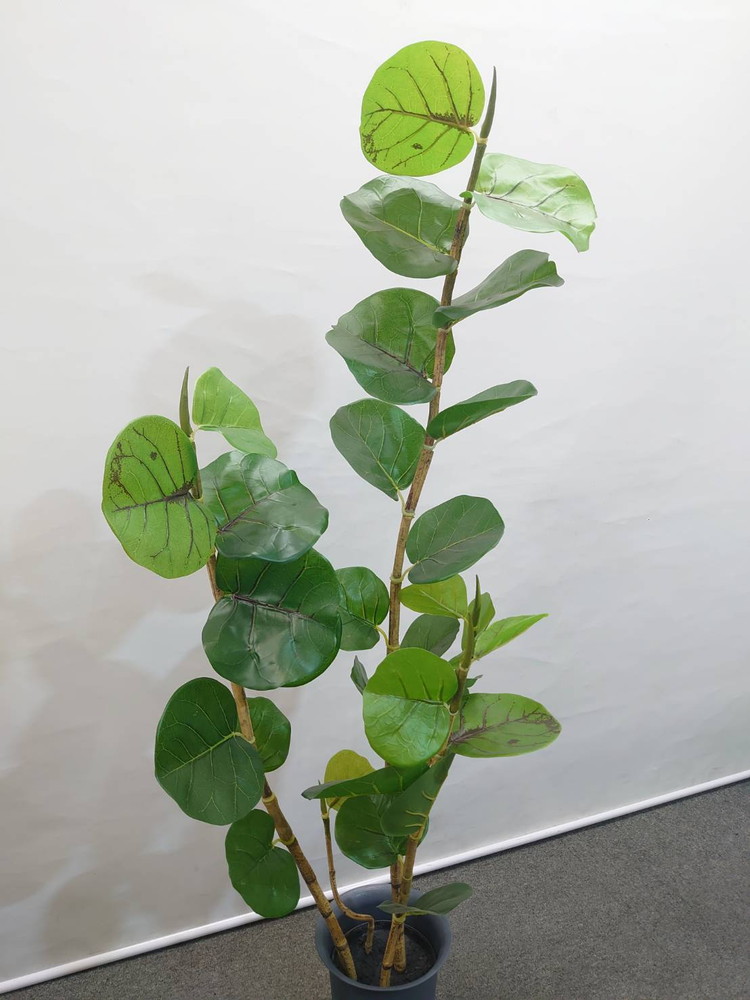 東京地区送料無料 フェイクグリーン シーグレープ風 H1330 / 約1.3m 人工観葉植物 インテリアグリーン - 画像 (3)