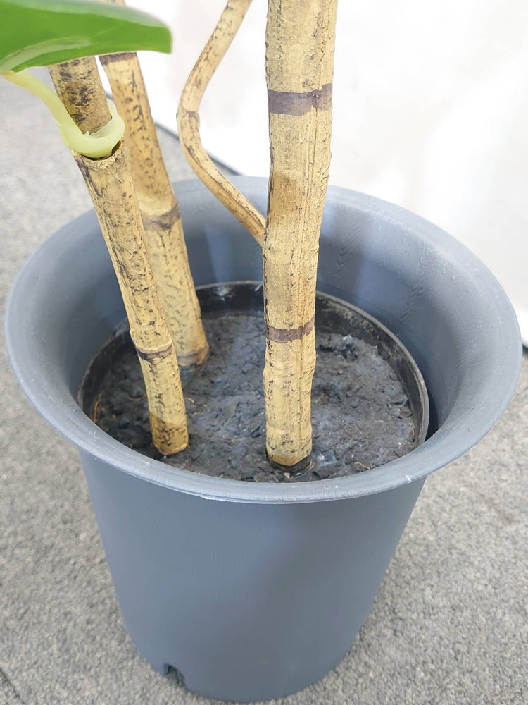 東京地区送料無料 フェイクグリーン シーグレープ風 H1330 / 約1.3m 人工観葉植物 インテリアグリーン - 画像 (4)