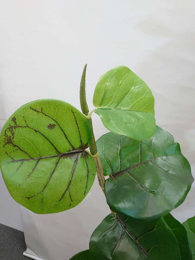 東京地区送料無料 フェイクグリーン シーグレープ風 H1330 / 約1.3m 人工観葉植物 インテリアグリーン - 画像 (5)