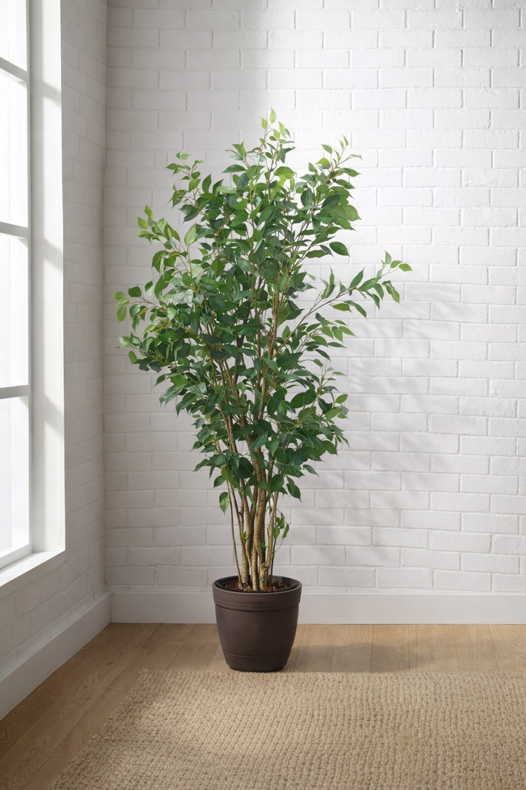 東京地区送料無料 フェイクグリーン ベンジャミン風 H1620 / 約1.6m 人工観葉植物 インテリアグリーン - 画像 (2)
