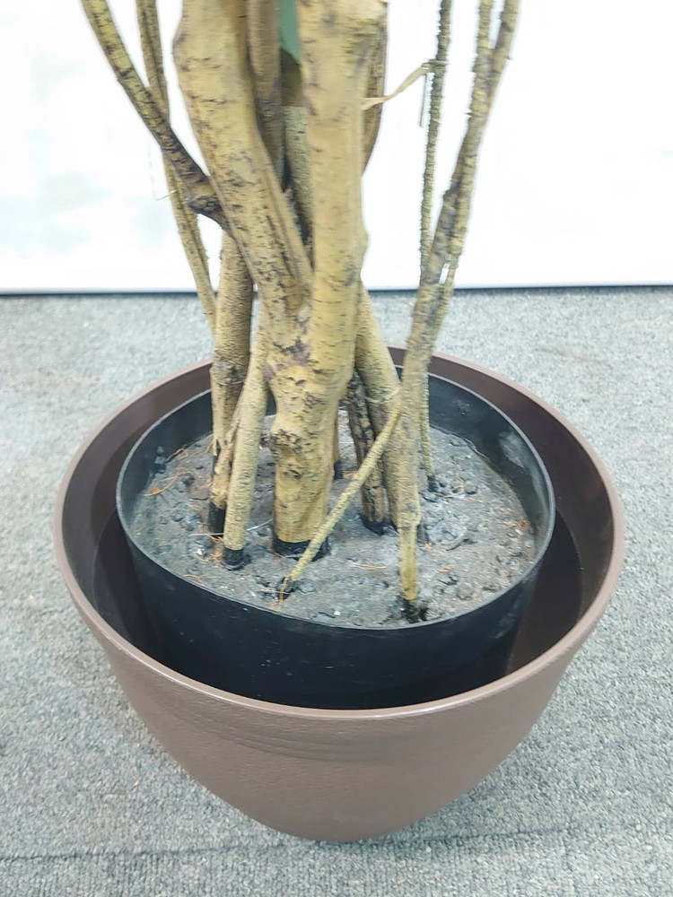 東京地区送料無料 フェイクグリーン ベンジャミン風 H1620 / 約1.6m 人工観葉植物 インテリアグリーン - 画像 (4)