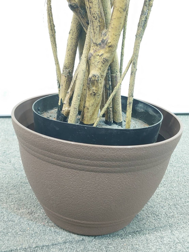 東京地区送料無料 フェイクグリーン ベンジャミン風 H1620 / 約1.6m 人工観葉植物 インテリアグリーン - 画像 (5)