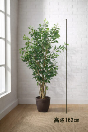 東京地区送料無料 フェイクグリーン ベンジャミン風 H1620 / 約1.6m 人工観葉植物 インテリアグリーン