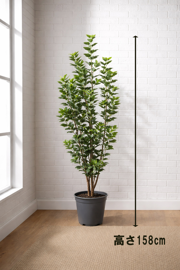東京地区送料無料 フェイクグリーン フランスゴム風 H1580 / 約1.6m 人工観葉植物 インテリアグリーン