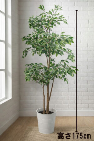 東京地区送料無料 フェイクグリーン シーグレープ ココロバ風 H1750 鉢付き 人工観葉植物 インテリアグリーン