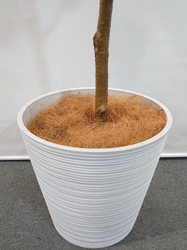 東京地区送料無料 フェイクグリーン ゴムの木風 H1900 / 約1.9m 人工観葉植物 インテリアグリーン - 画像 (4)