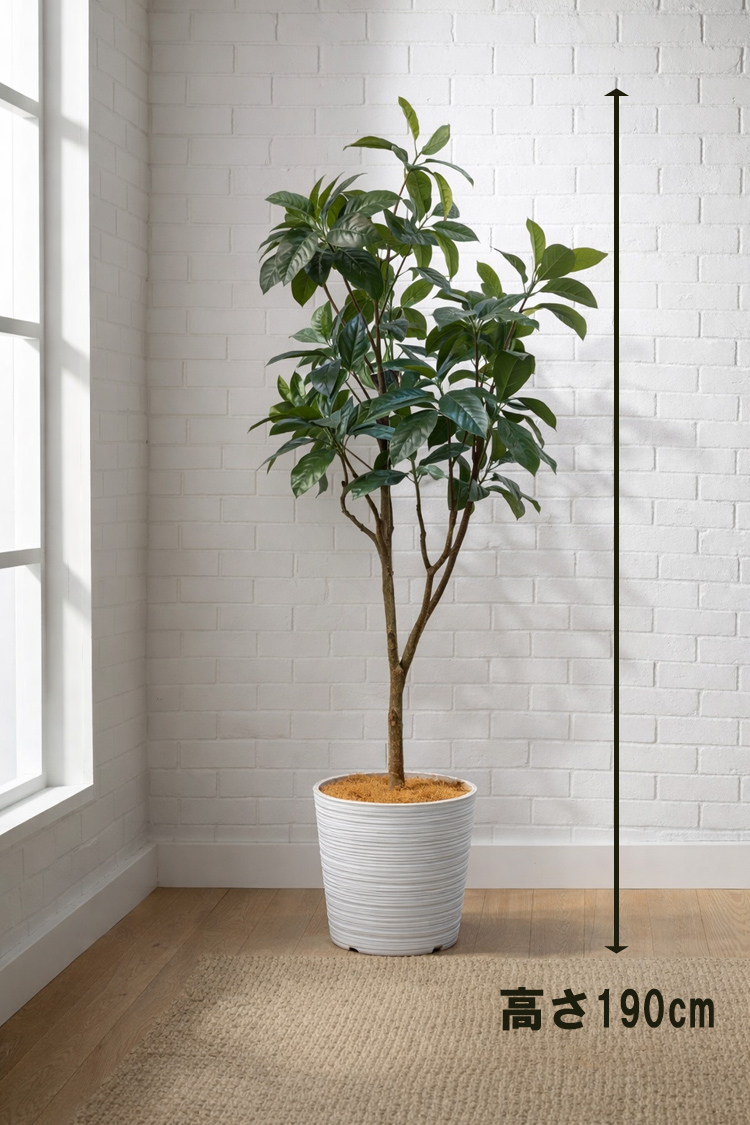 東京地区送料無料 フェイクグリーン ゴムの木風 H1900 / 約1.9m 人工観葉植物 インテリアグリーン