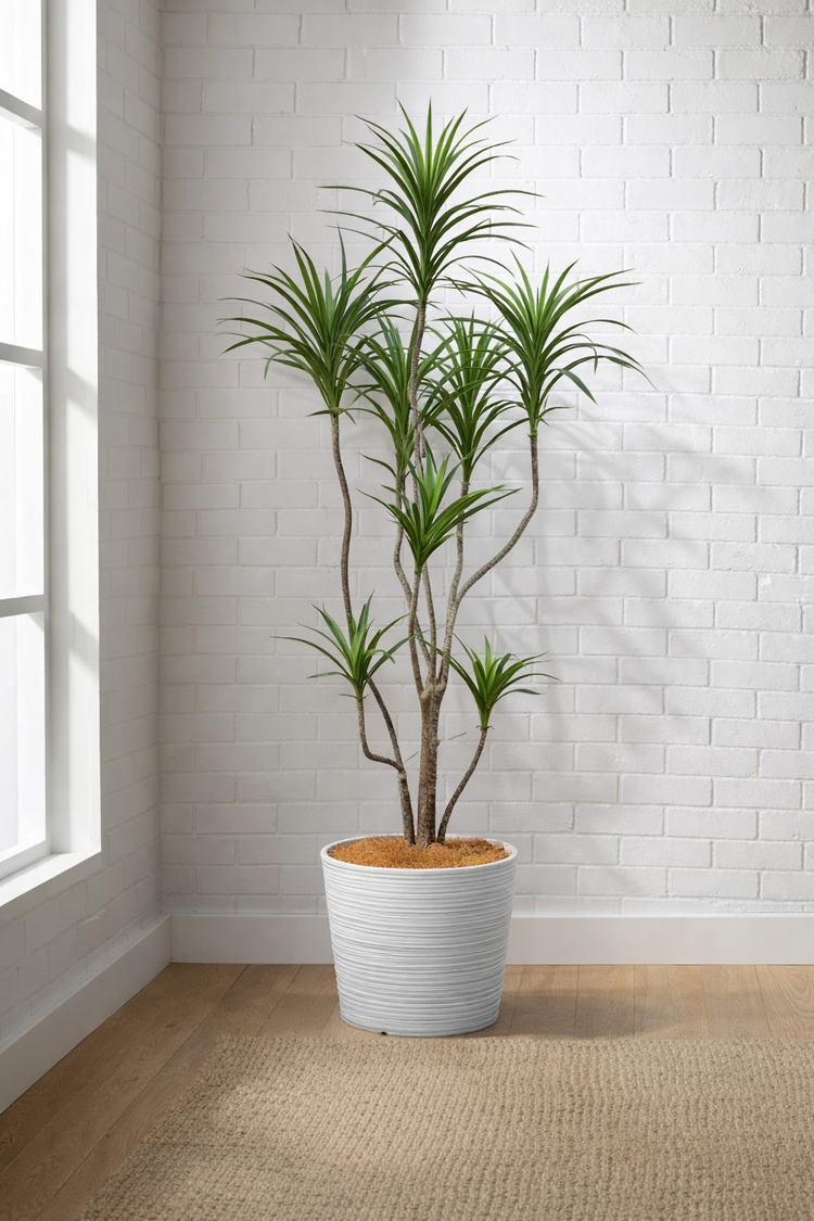 東京地区送料無料 フェイクグリーン ドラセナ コンシンネ風 H1600 / 1.6m 人工観葉植物 インテリアグリーン - 画像 (2)