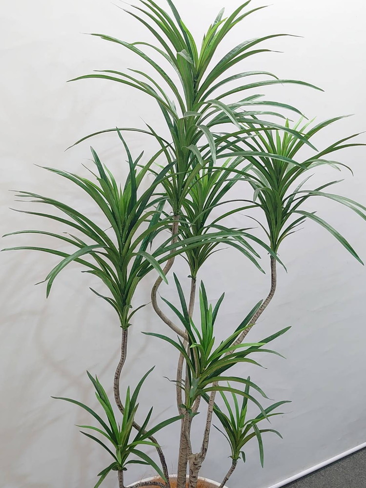 東京地区送料無料 フェイクグリーン ドラセナ コンシンネ風 H1600 / 1.6m 人工観葉植物 インテリアグリーン - 画像 (3)