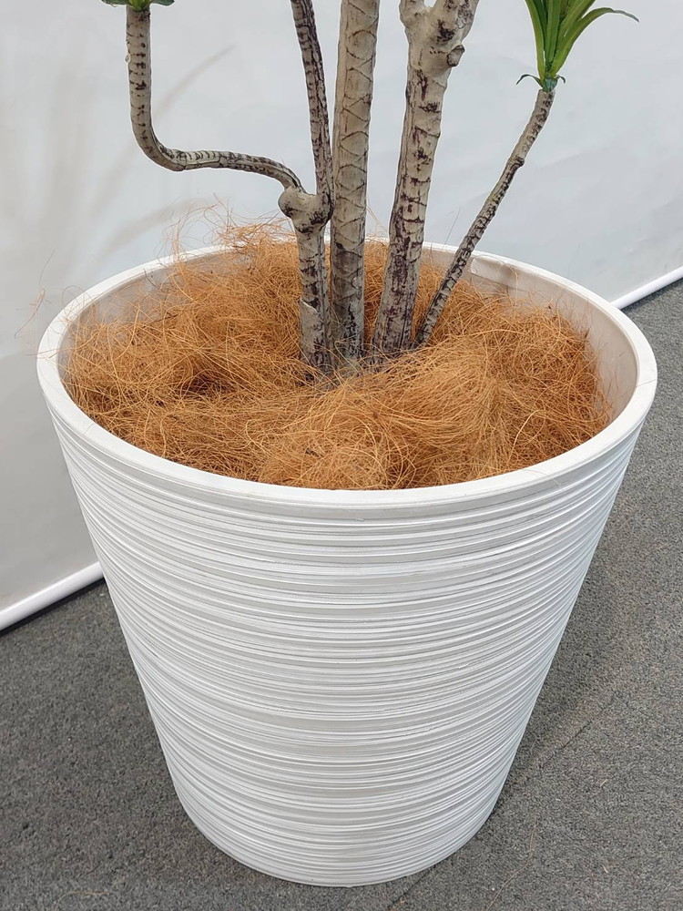 東京地区送料無料 フェイクグリーン ドラセナ コンシンネ風 H1600 / 1.6m 人工観葉植物 インテリアグリーン - 画像 (4)