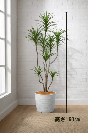 東京地区送料無料 フェイクグリーン ドラセナ コンシンネ風 H1600 / 1.6m 人工観葉植物 インテリアグリーン