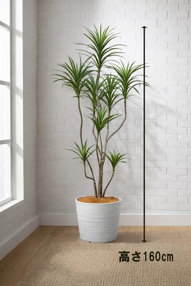 東京地区送料無料 フェイクグリーン ドラセナ コンシンネ風 H1600 / 1.6m 人工観葉植物 インテリアグリーン