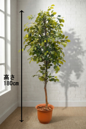 東京地区送料無料 フェイクグリーン ベンジャミン風 H1800 / 1.8m 人工観葉植物