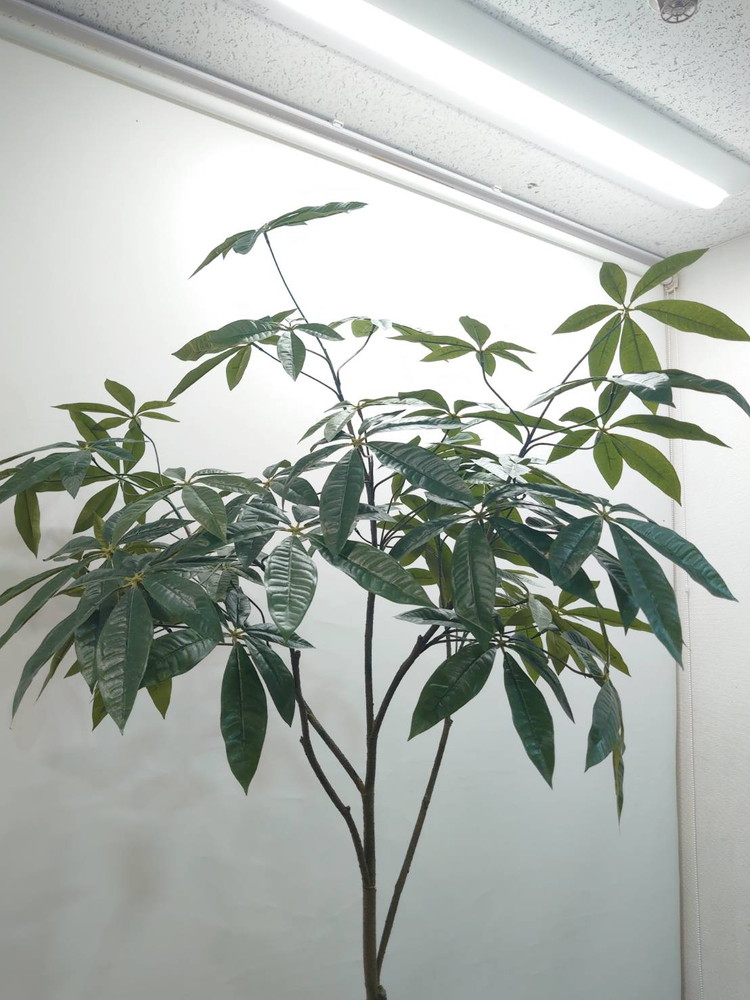 東京地区送料無料 フェイクグリーン 大型 パキラ風 人工観葉植物 鉢付きプランター付き - 画像 (6)