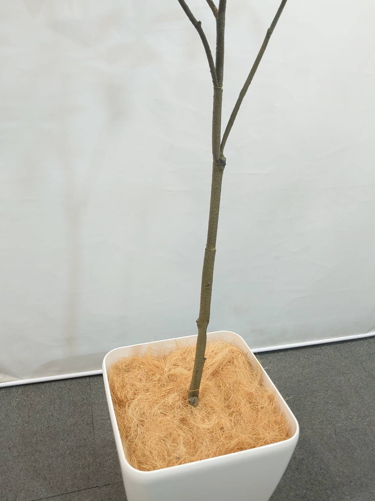 東京地区送料無料 フェイクグリーン 大型 パキラ風 人工観葉植物 鉢付きプランター付き - 画像 (7)