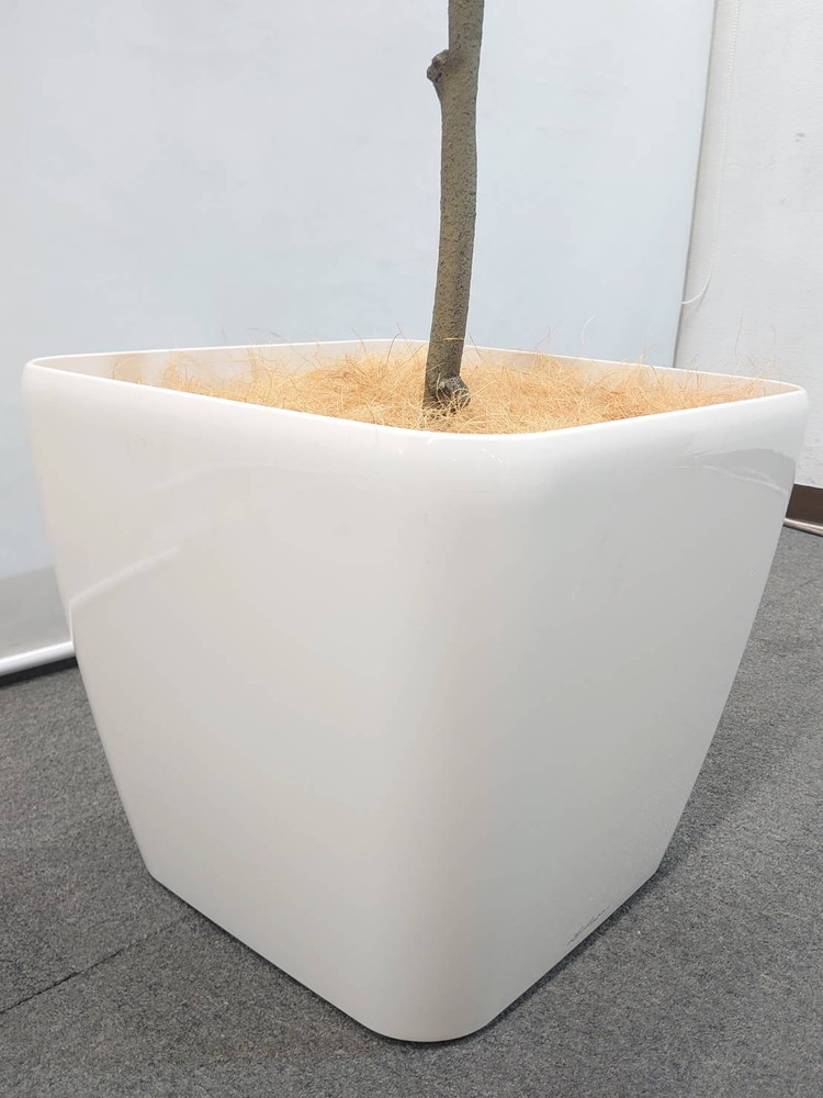 東京地区送料無料 フェイクグリーン 大型 パキラ風 人工観葉植物 鉢付きプランター付き - 画像 (8)
