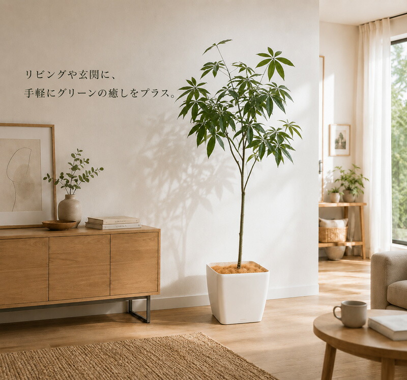 東京地区送料無料 フェイクグリーン 大型 パキラ風 人工観葉植物 鉢付きプランター付き - 画像 (3)