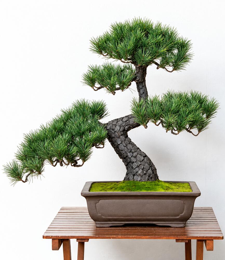 盆栽 BONSAI 松 光触媒 和風 人工樹木 消臭 空気清浄 お手入れ不要 H750mm - 画像 (2)