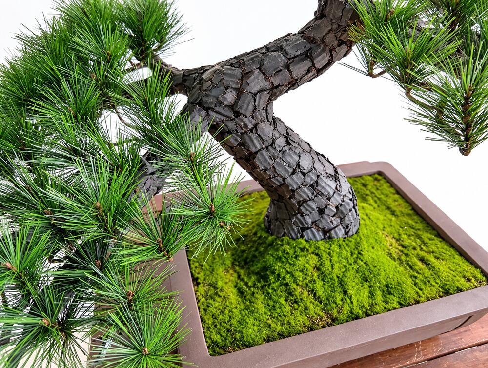 盆栽 BONSAI 松 光触媒 和風 人工樹木 消臭 空気清浄 お手入れ不要 H750mm - 画像 (6)